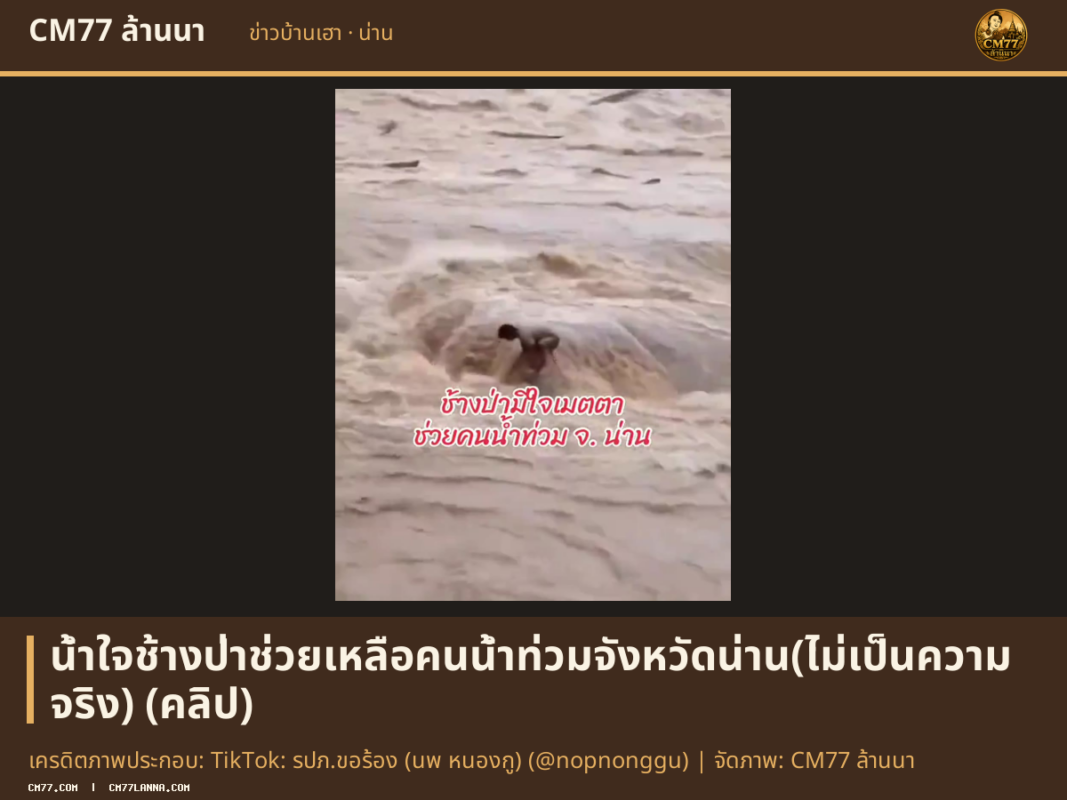 เครดิตภาพประกอบ: TikTok: รปภ.ขอร้อง (นพ หนองกู) (@nopnonggu) | จัดภาพ: CM77 ล้านนา