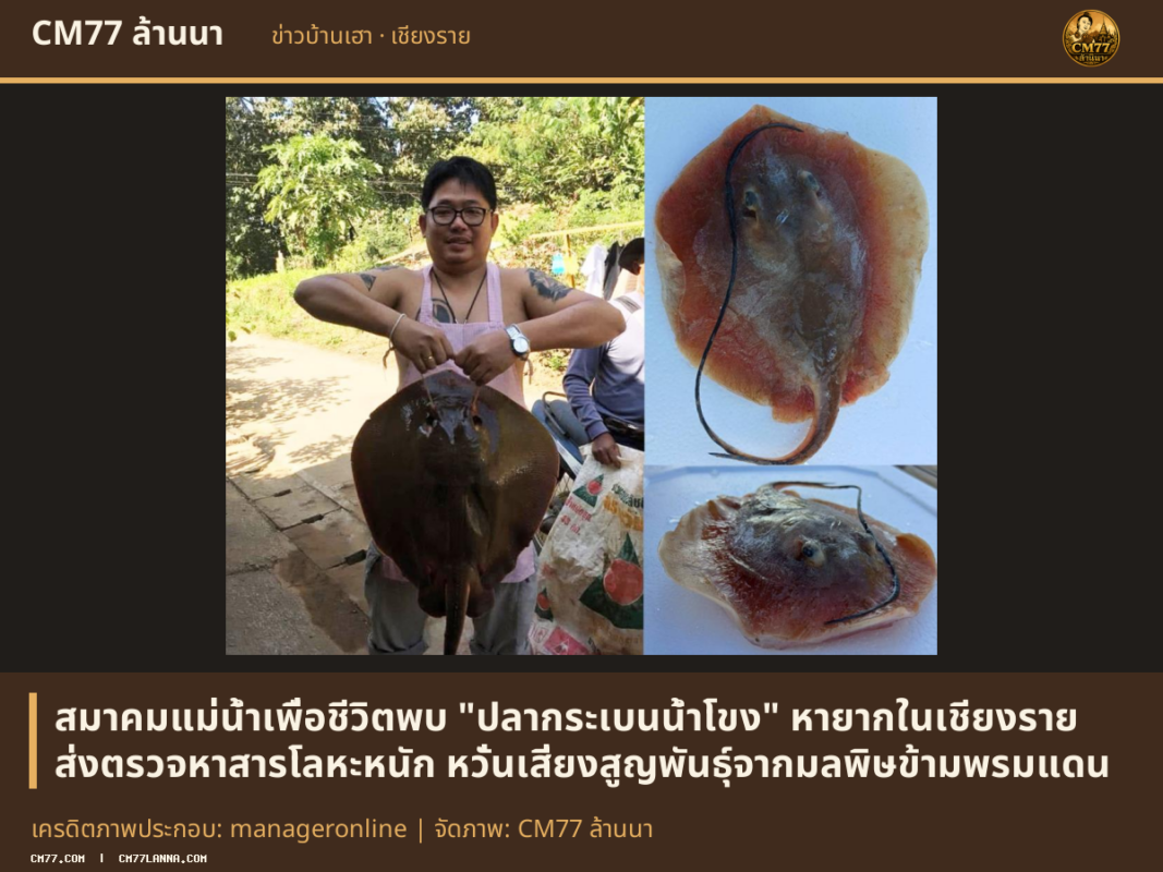 เครดิตภาพประกอบ: manageronline | จัดภาพ: CM77 ล้านนา