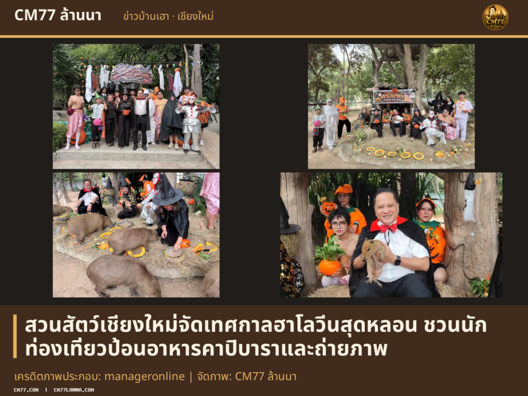 เครดิตภาพประกอบ: manageronline | จัดภาพ: CM77 ล้านนา