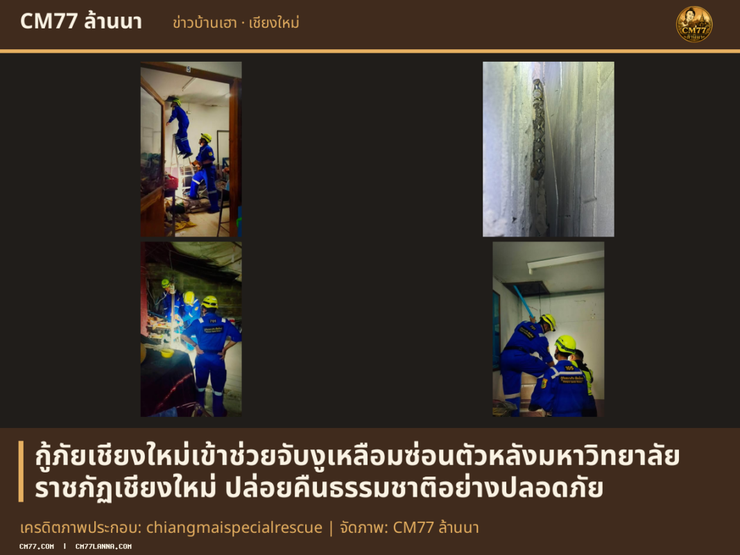 เครดิตภาพประกอบ: chiangmaispecialrescue | จัดภาพ: CM77 ล้านนา