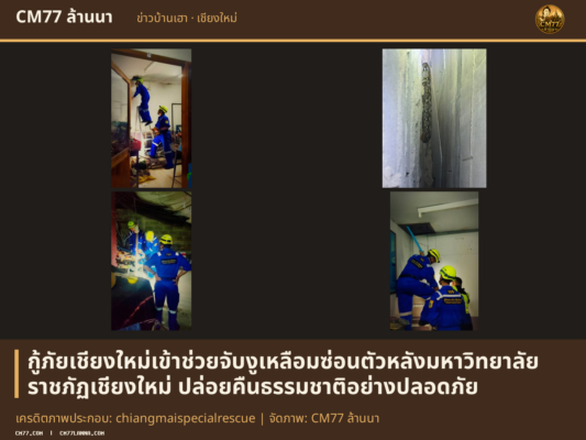 เครดิตภาพประกอบ: chiangmaispecialrescue | จัดภาพ: CM77 ล้านนา